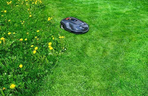 The Future of Lawn Care: Why Businesses Are Turning to Robotic Mowing