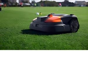 upscalemedia-transformed